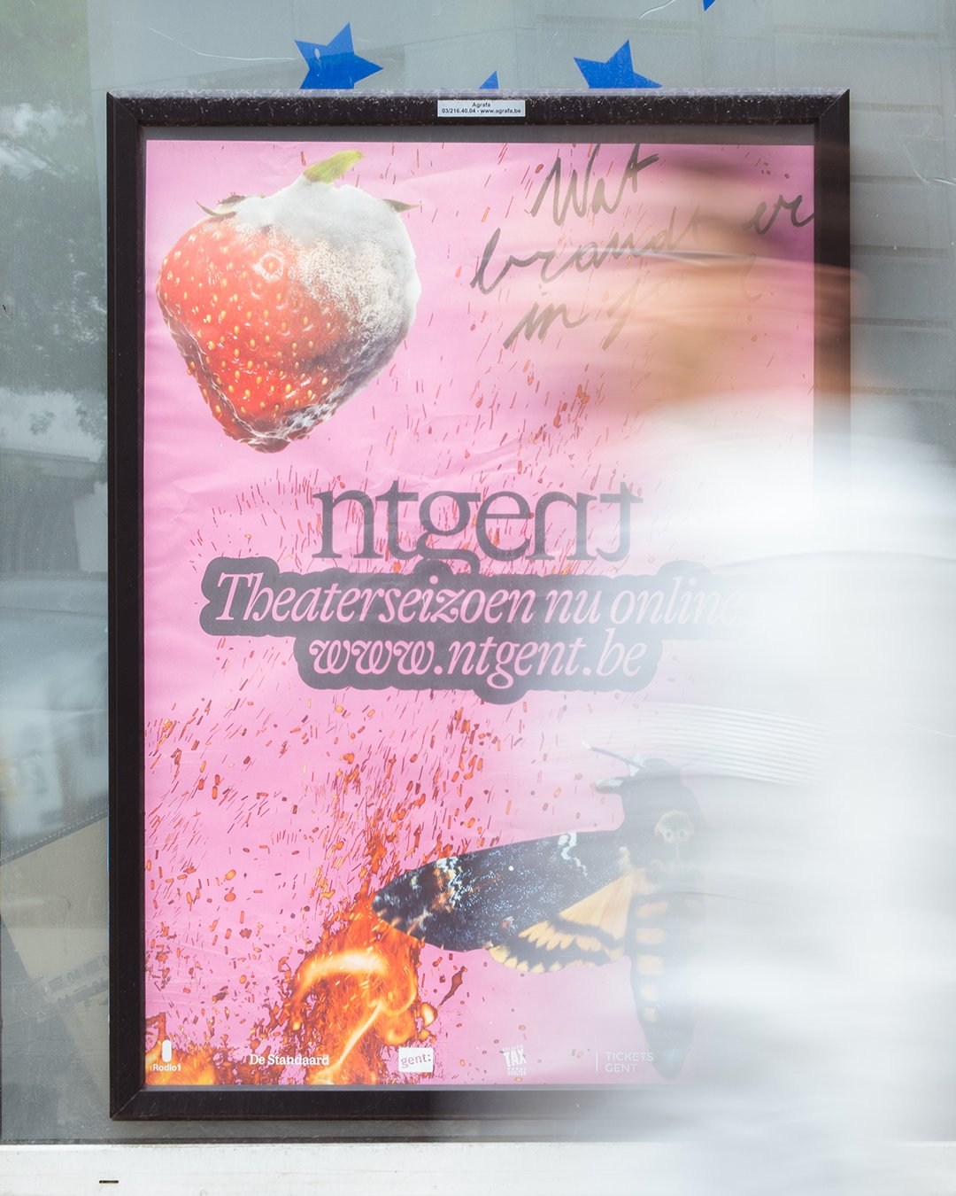 NTGENT poster